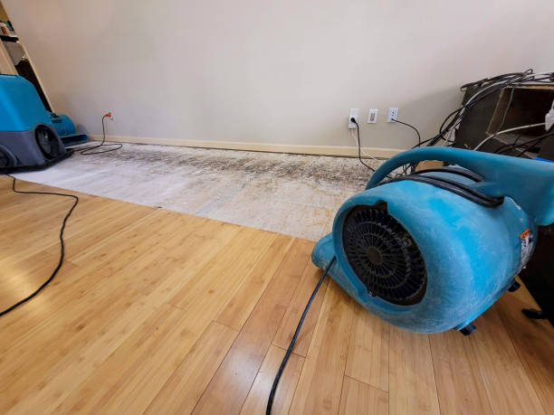 Professional Sewage Cleanup technician working in Woodburn, IN